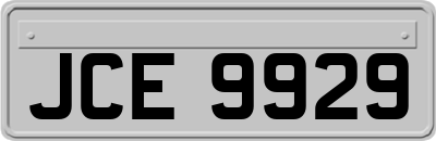 JCE9929