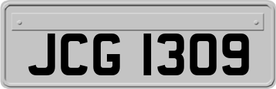 JCG1309
