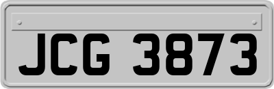 JCG3873