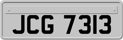 JCG7313
