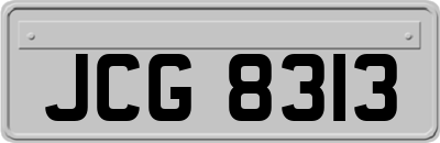 JCG8313