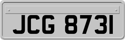 JCG8731