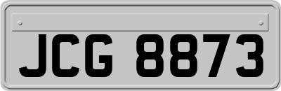 JCG8873