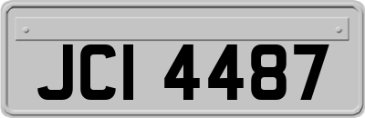 JCI4487