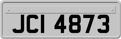 JCI4873