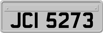 JCI5273