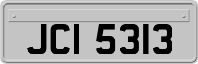 JCI5313
