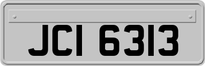 JCI6313