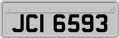 JCI6593