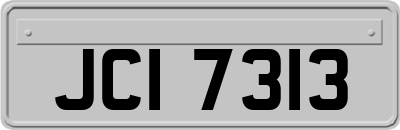 JCI7313