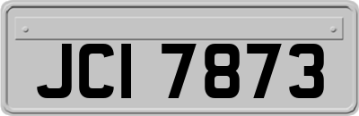 JCI7873
