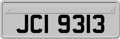JCI9313