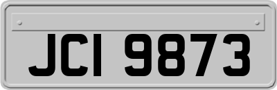 JCI9873