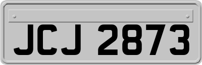JCJ2873