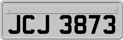 JCJ3873