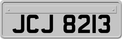 JCJ8213