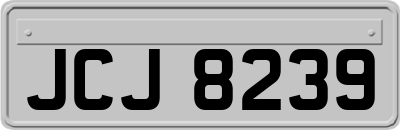 JCJ8239