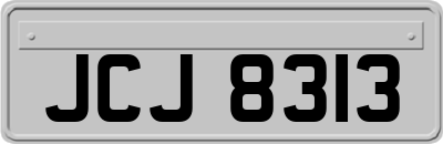 JCJ8313