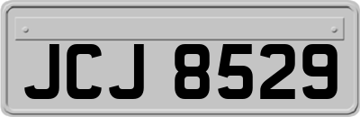 JCJ8529