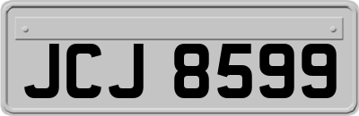 JCJ8599