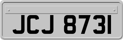JCJ8731