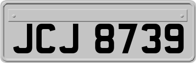 JCJ8739