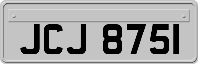 JCJ8751