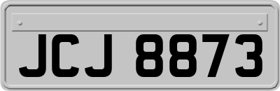 JCJ8873