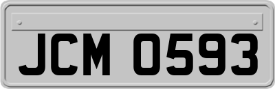 JCM0593