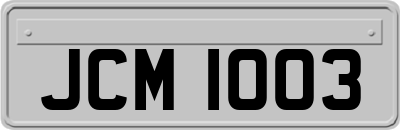 JCM1003