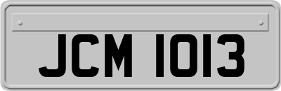 JCM1013