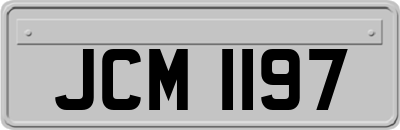 JCM1197