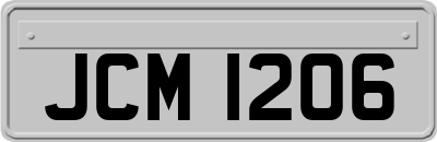 JCM1206