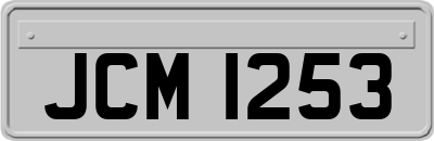 JCM1253