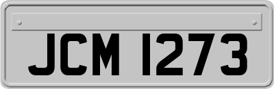 JCM1273