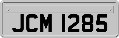 JCM1285