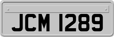 JCM1289