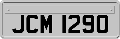 JCM1290