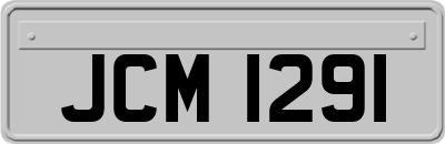 JCM1291