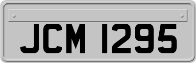 JCM1295