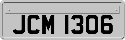 JCM1306