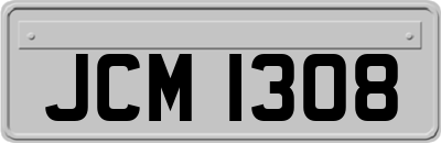 JCM1308