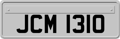 JCM1310