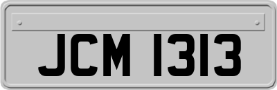 JCM1313
