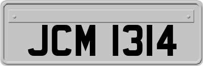 JCM1314