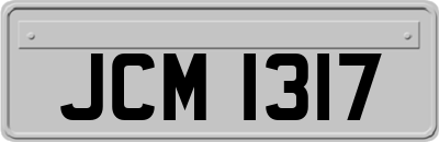 JCM1317