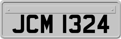 JCM1324