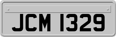 JCM1329