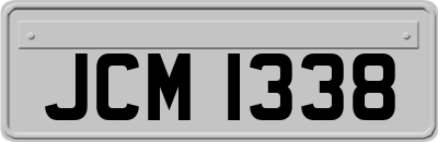 JCM1338
