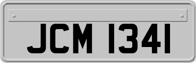JCM1341